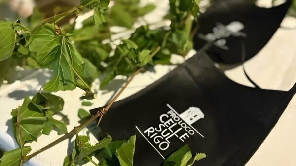 Nove vinícolas de San Casciano dei Bagni se reúnem no Calici di Stelle