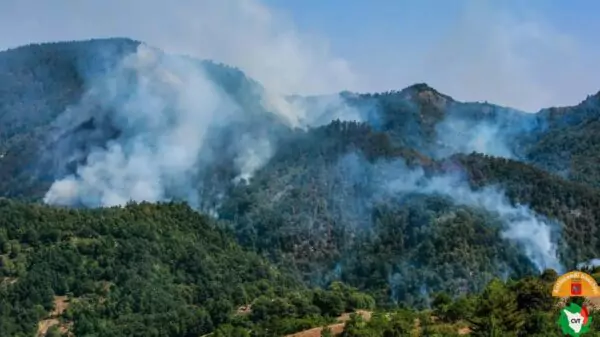 Incêndio consome 50 hectares em Firenzuola; helicópteros seguem no combate