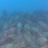 Naufrágio romano do século 2 a.C. é descoberto no fundo do mar da Sicília