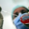 Embrião implantado na mulher errada em hospital de Milão