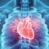 Estatina reduz em 30% risco de infarto e AVC em pessoas com mais de 70 anos