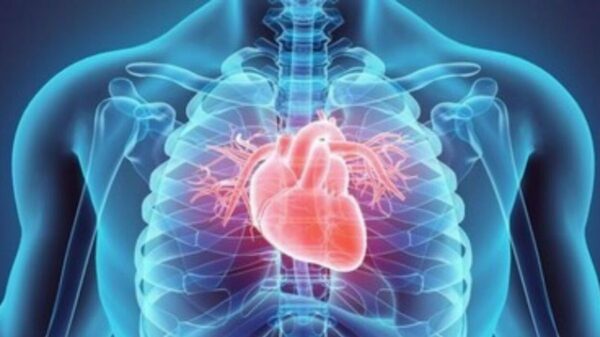 Estatina reduz em 30% risco de infarto e AVC em pessoas com mais de 70 anos