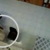 Presidente de associação e voluntários são presos por maus-tratos a deficientes em Ragusa