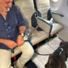 Geppino, 13 anos e 29 kg, é o primeiro cão grande a voar na cabine da Ita