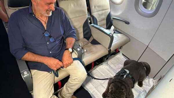 Geppino, 13 anos e 29 kg, é o primeiro cão grande a voar na cabine da Ita