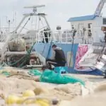 Coluna usa robalo de 20 euros em Palermo para questionar Meloni sobre energia