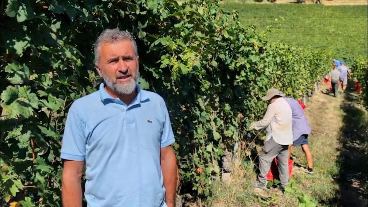 Vinícola das Langhe usa raios ultravioleta nas videiras contra o calor