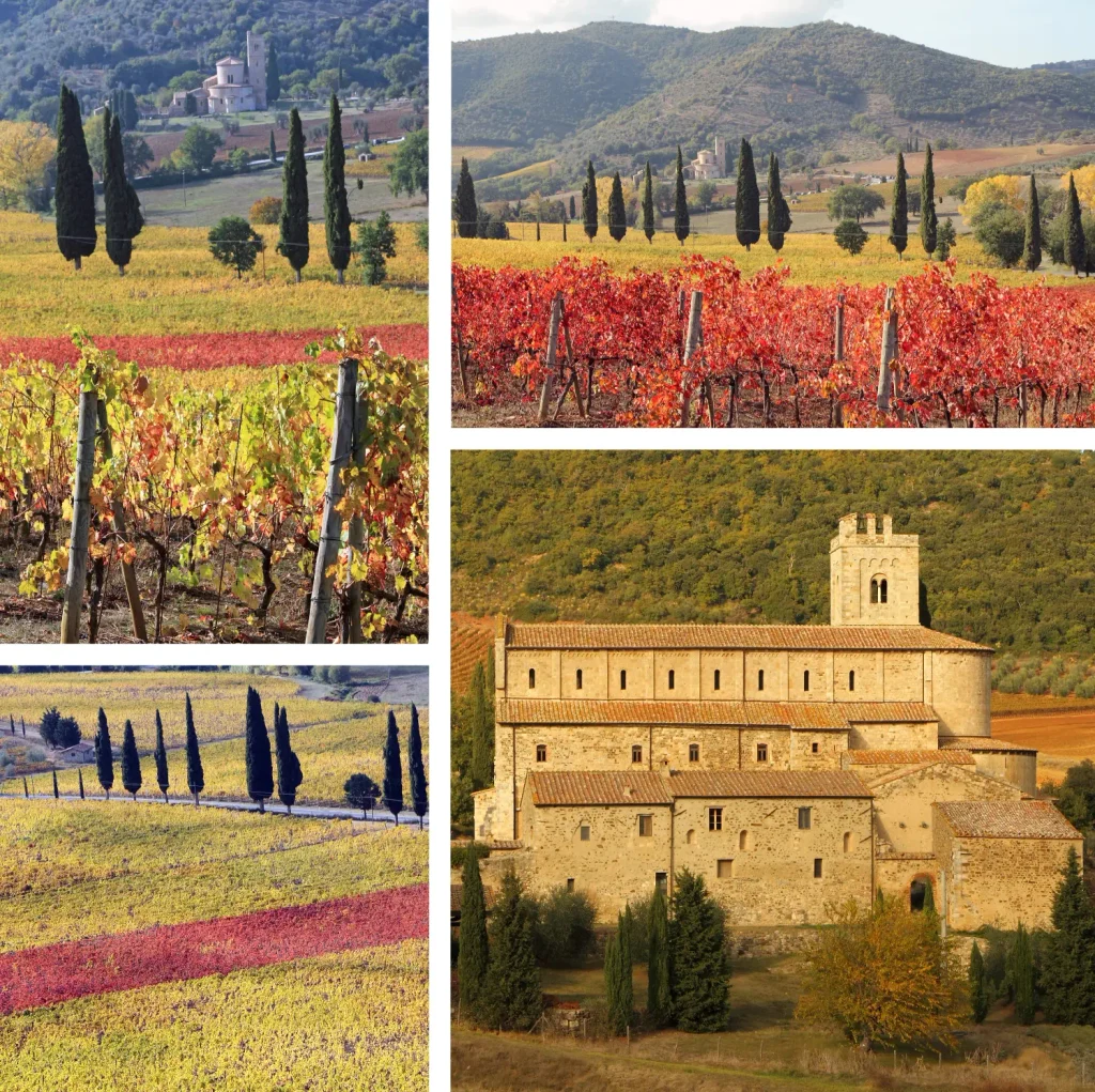 Vinhedos e ciprestes na Toscana durante o outono, com as folhas das videiras em tons de amarelo e vermelho e uma igreja histórica em meio à paisagem rural | Foto: Depositphotos