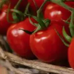 Puglia tira tomate cru das cantinas após surtos de salmonela na Itália